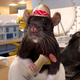 Illustration for article titled Rats Scramble To Hide Fully Functioning Amusement Park And Resort They Built As Workers Return To Office